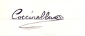 Mit Bleistift gezeichnet das Wort Coccinella im Stil einer Signatur.